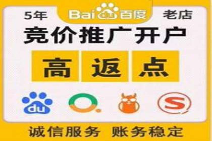 某sem代运营公司助力企业实现品牌升级